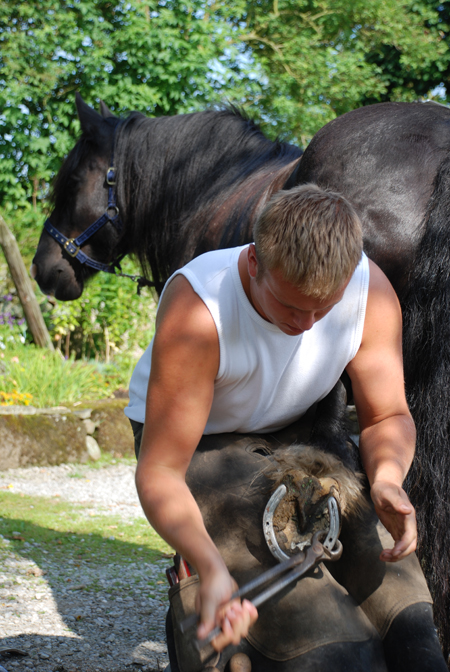 Andrew Cooper, Lancashire Farrier of Distinction