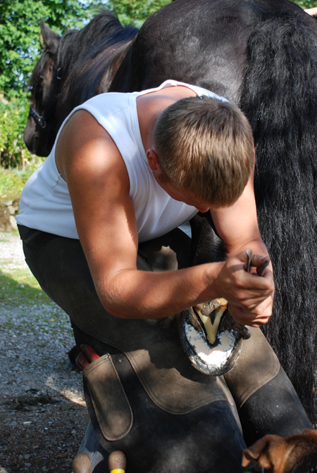 Andrew Cooper, Lancashire Farrier of Distinction