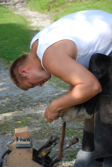 Andrew Cooper, Lancashire Farrier of Distinction