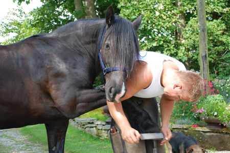 Andrew Cooper, Lancashire Farrier of Distinction