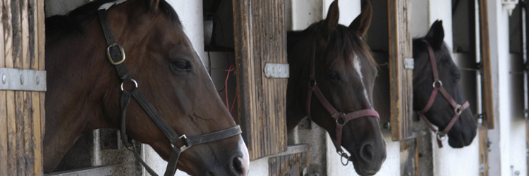 Andrew Cooper, Lancashire Farrier of Distinction